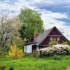 cottage, trees, path-2955582.jpg
