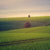 land, outdoors, meadow-3799279.jpg