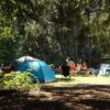 camp, forest, summer-1163419.jpg