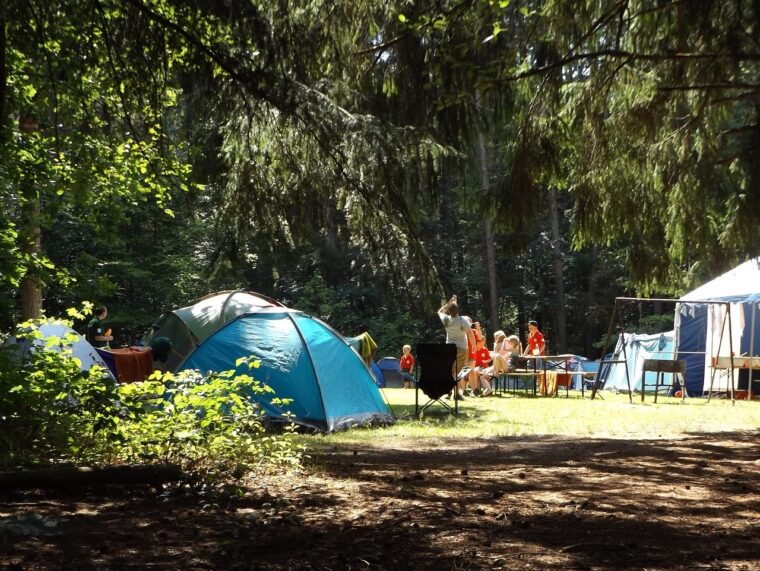 camp, forest, summer-1163419.jpg