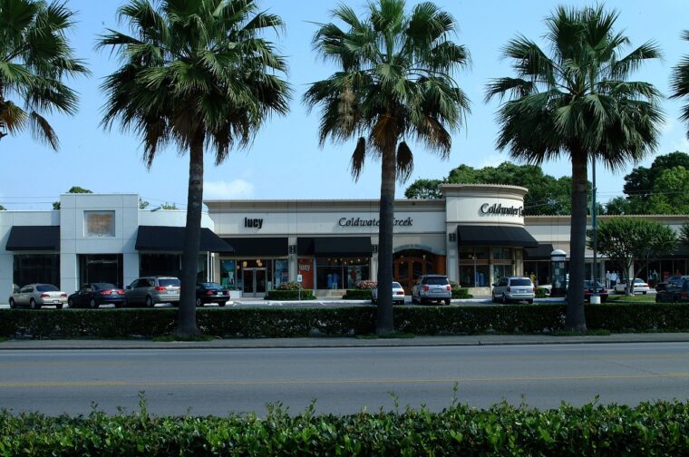 palm trees, shops, stores-226987.jpg